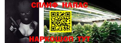 МДПВ Славгород