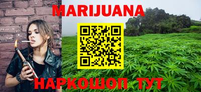 МДПВ Славгород