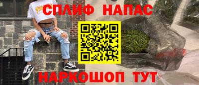 МДПВ Славгород