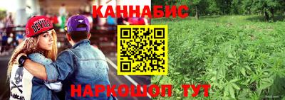 МДПВ Славгород