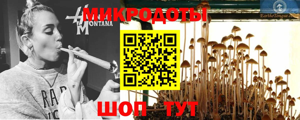 Псилоцибиновые грибы MAGIC MUSHROOMS Прокопьевск
